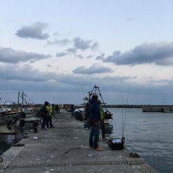 アジング調査 #2