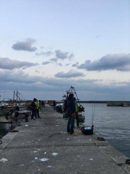 アジング調査 #2