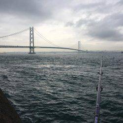 アジング調査 #3