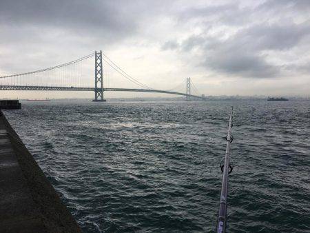 アジング調査 #3