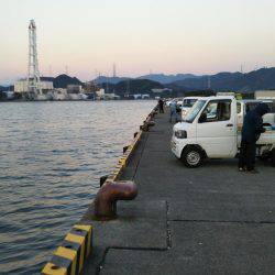 阿南市の大潟岸壁テンヤでタチウオ