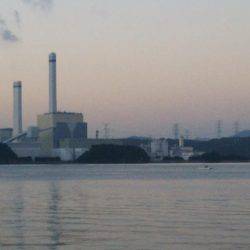 阿南市の大潟岸壁テンヤでタチウオ