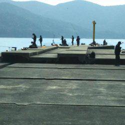 アジ〜ヤエン〜ノマセ