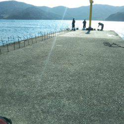 サビキ→ヤエン