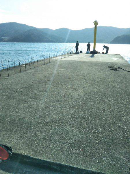 サビキ→ヤエン