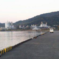 中浦緑地公園、テンヤでタチウオ