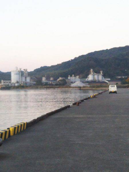 中浦緑地公園、テンヤでタチウオ