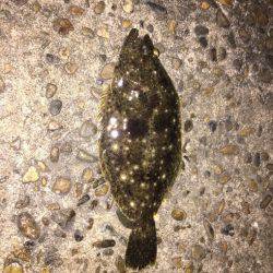 いつもと違うとこに‼