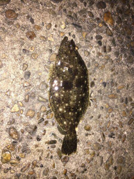 いつもと違うとこに‼