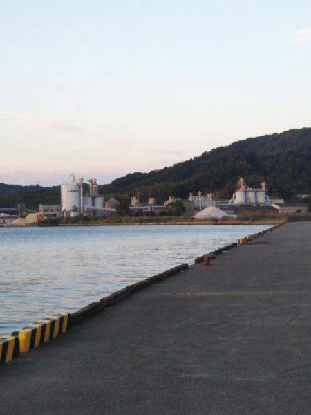 中浦緑地公園テンヤでタチウオ