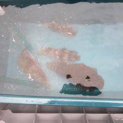 悪天候になる前に