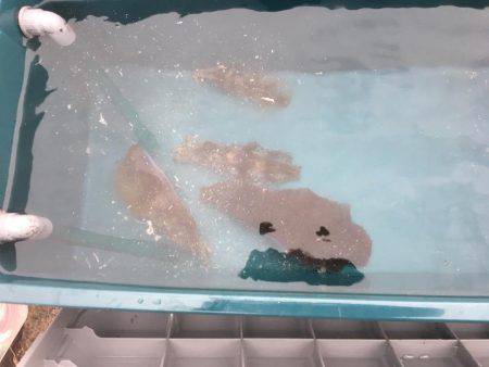 悪天候になる前に