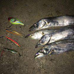 ハードルアー太刀魚楽しい〜