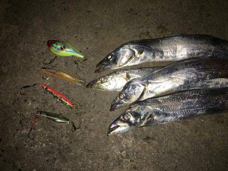 ハードルアー太刀魚楽しい〜