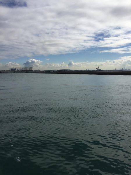 メタルジグにアジ