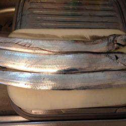 タチウオまずまず