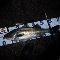 ハイシーズン♪