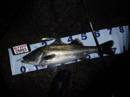 ハイシーズン♪