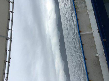 祈願のヒラマサ