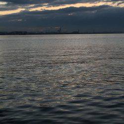 そろそろ終盤かな？？