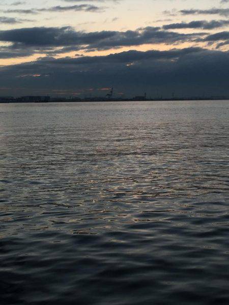 そろそろ終盤かな？？