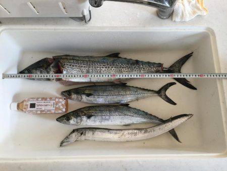 釣り人生一番の大物