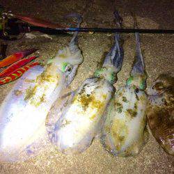 久々のポイントで…