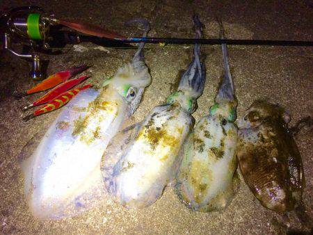 久々のポイントで…