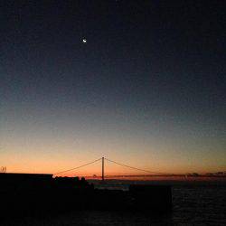 やっぱりウキ釣りはおもしろい