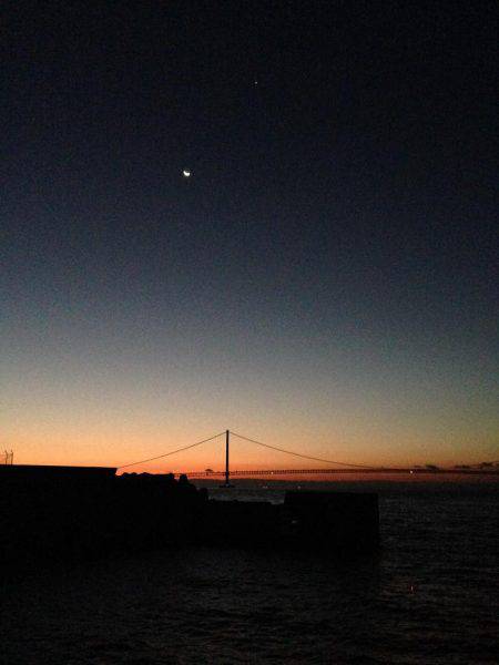 やっぱりウキ釣りはおもしろい