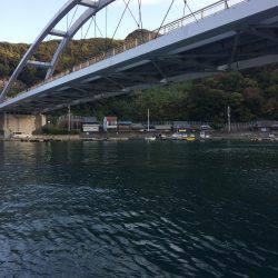 バクチョウからのバクフウ