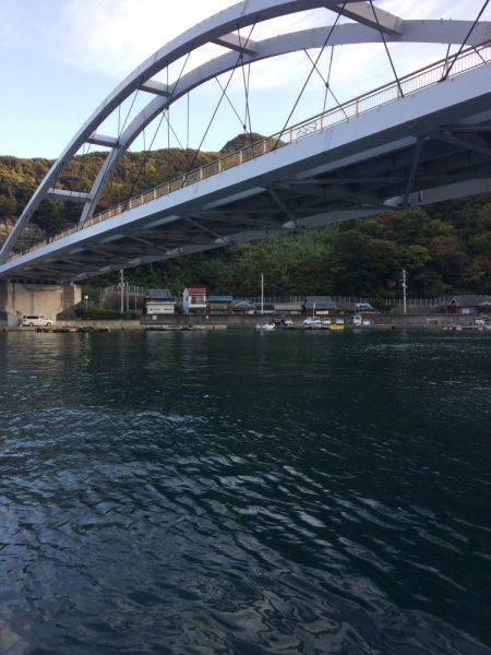 バクチョウからのバクフウ