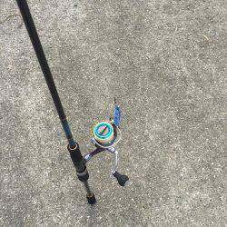 超湾内エギング