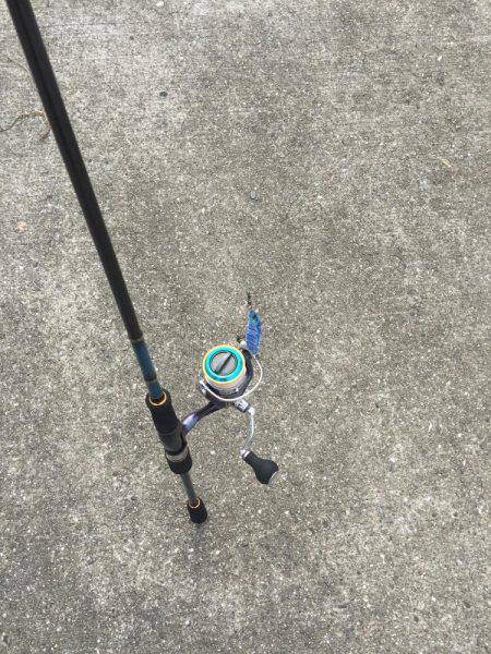 超湾内エギング