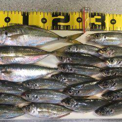 オールナイトアジング