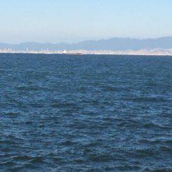 マイポイントで朝練