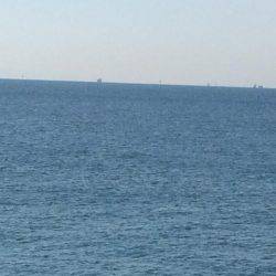 南港周辺のマイポイントで朝練