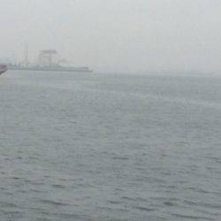 雨の中、、、、