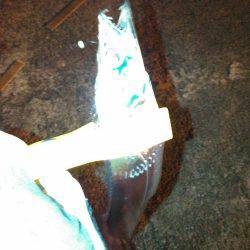 タチウオ&アジング