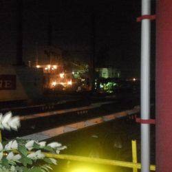 ドラゴン狩り！！