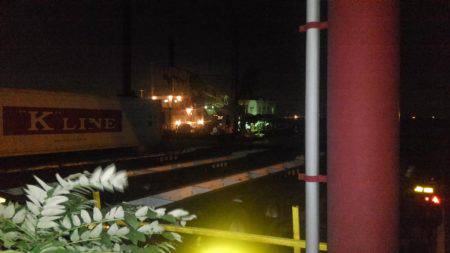 ドラゴン狩り！！