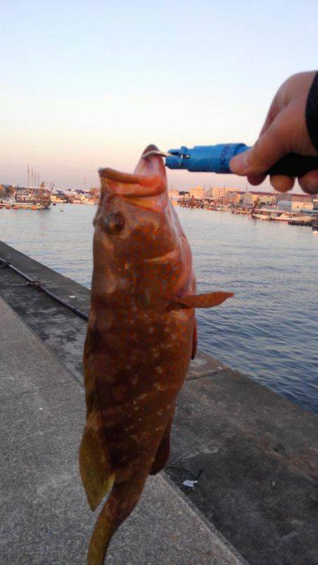 太刀魚からの青物狙い