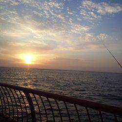 ぽかぽか陽気で