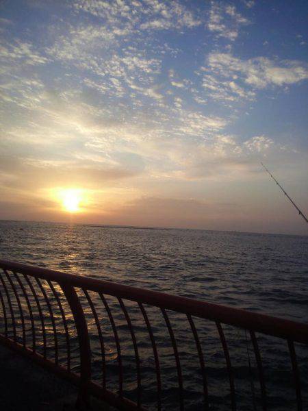 ぽかぽか陽気で