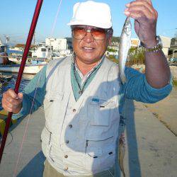 今回も富島漁港でキス狙い