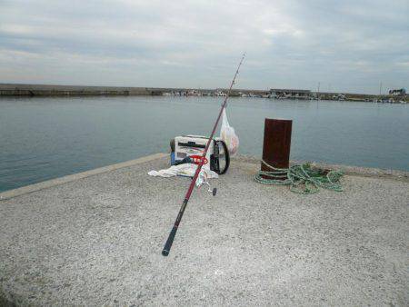 西淡落ち不発で浦港で良型キスゲット