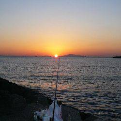 二見人工島へ落ちギス調査