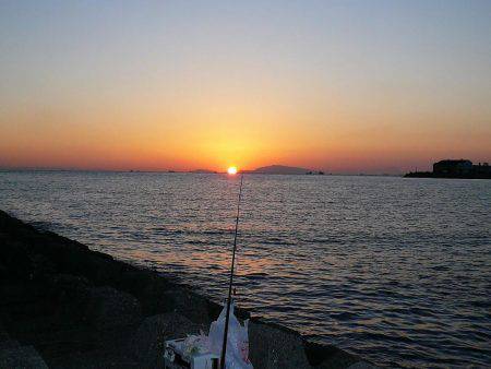 二見人工島へ落ちギス調査