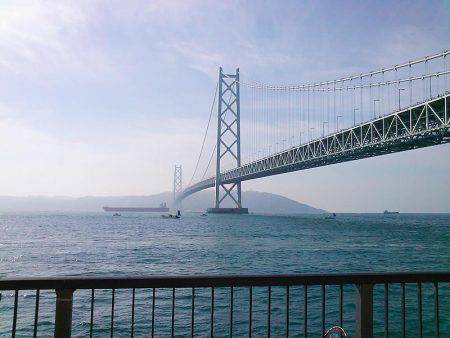 秋のメジナ狙い