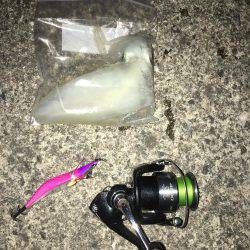 昨日のリベンジに